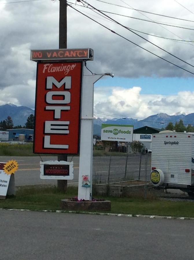 Flamingo Motel Cranbrook Exteriér fotografie